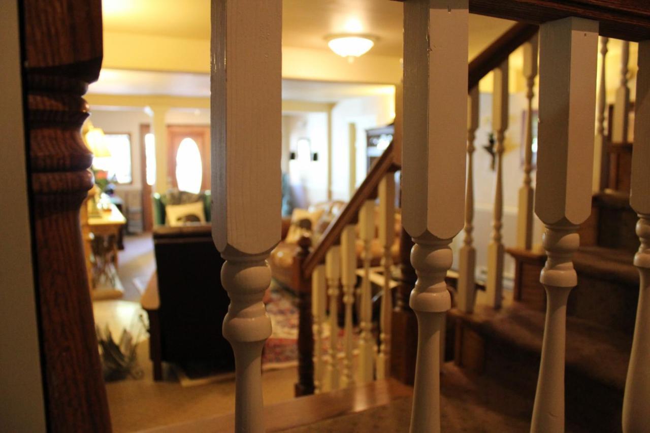 Black Bear Manor Ouray Εξωτερικό φωτογραφία